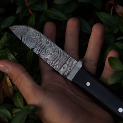 Damascus knife in hand