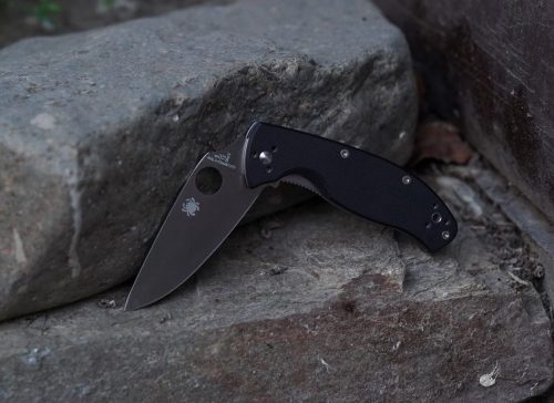 Spyderco Tenacious Satin, EDC folding Knife