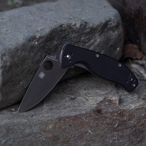 Spyderco Tenacious Satin, EDC folding Knife