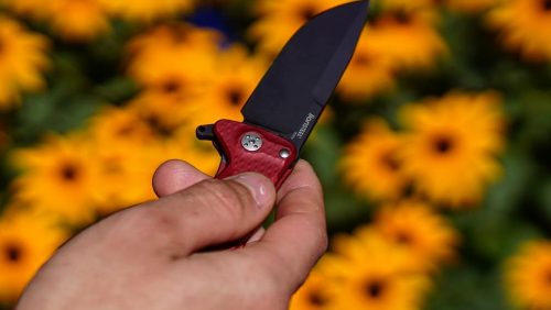 Lionsteel SR11, Rot in der Hand