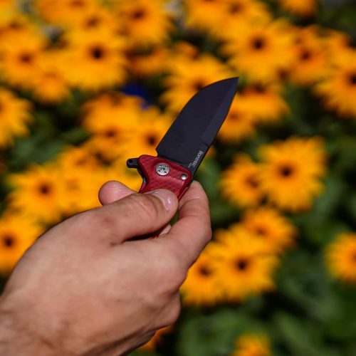 Lionsteel SR11, Red in hand