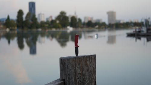 Lionsteel SR11 - Wien