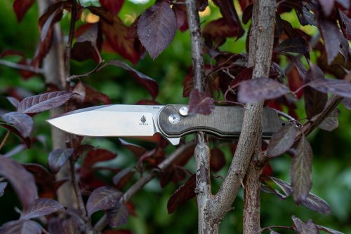 Assassin, Button Lock EDC Folding Knife
