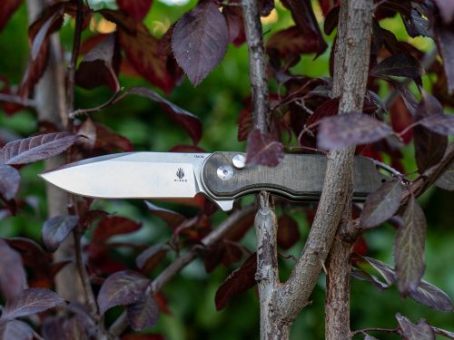 Assassin, Button Lock EDC Folding Knife