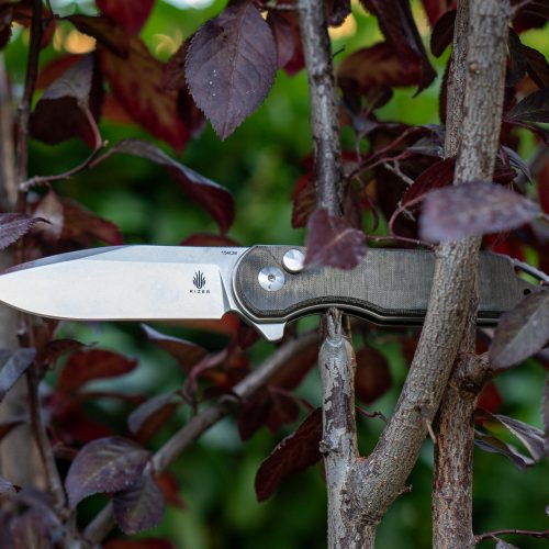 Assassin, Button Lock EDC Folding Knife