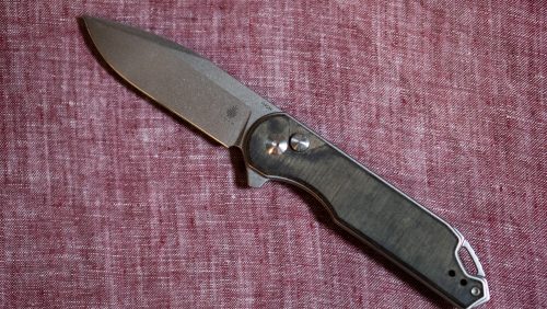 Kizer Assessin - EDC Folding Knife