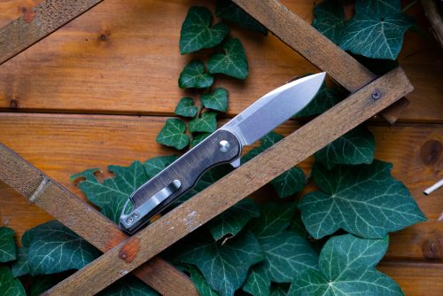 Kizer Assessin - Klappmesser EDC