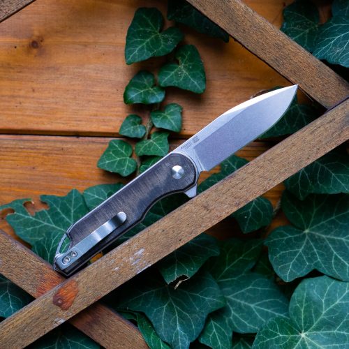 Kizer Assessin - Folding Knife EDC